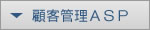 GigaStyleASPサービス案内